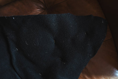 Genuine Coyote Rug Taxidermy Skull Bone Black Felt Backing Gorgeous Fur