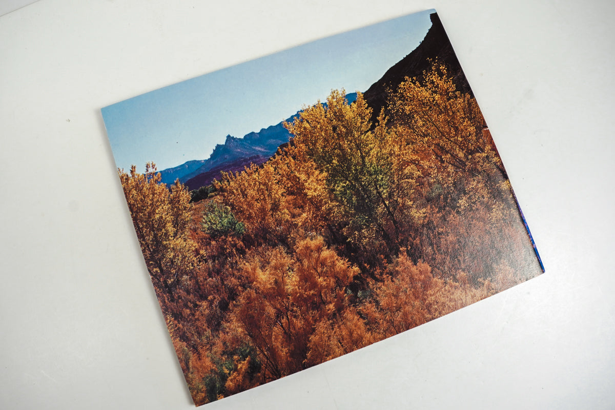 This is Zion Brochure
