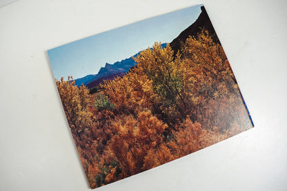 This is Zion Brochure
