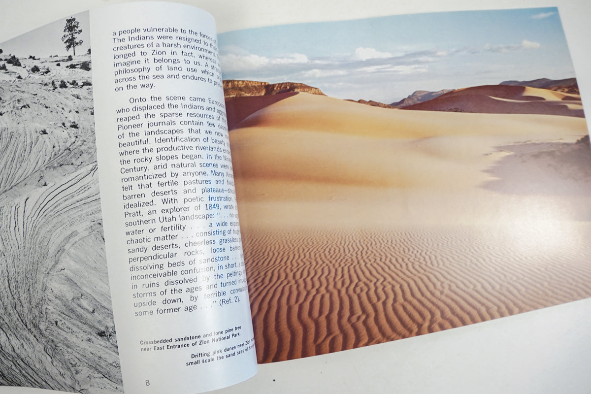 This is Zion Brochure