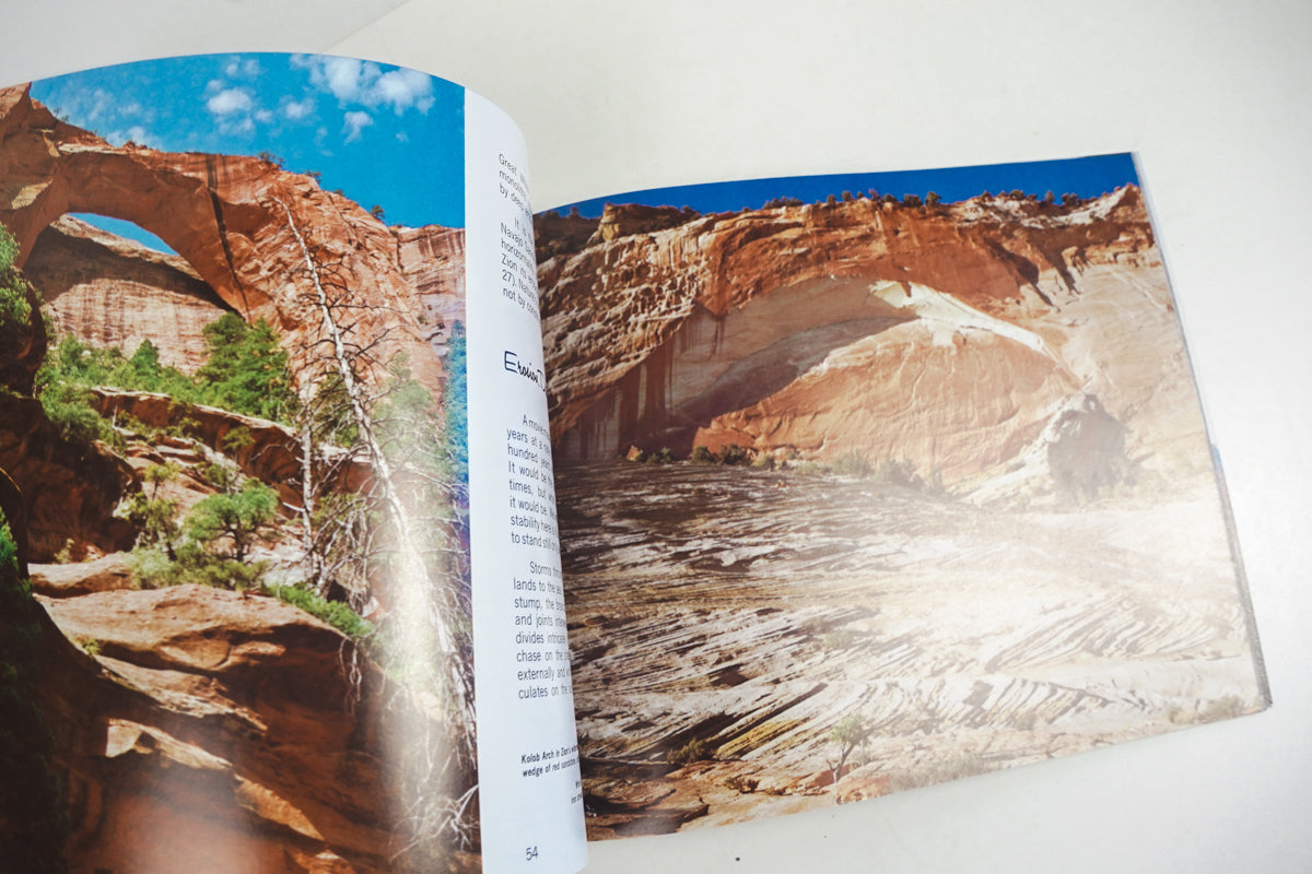 This is Zion Brochure