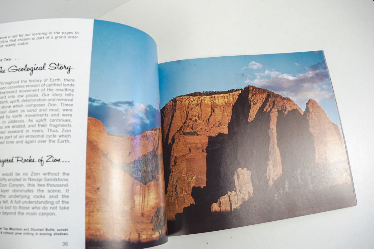This is Zion Brochure