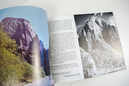 This is Zion Brochure
