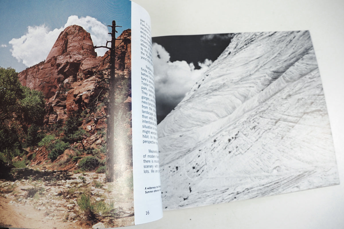 This is Zion Brochure