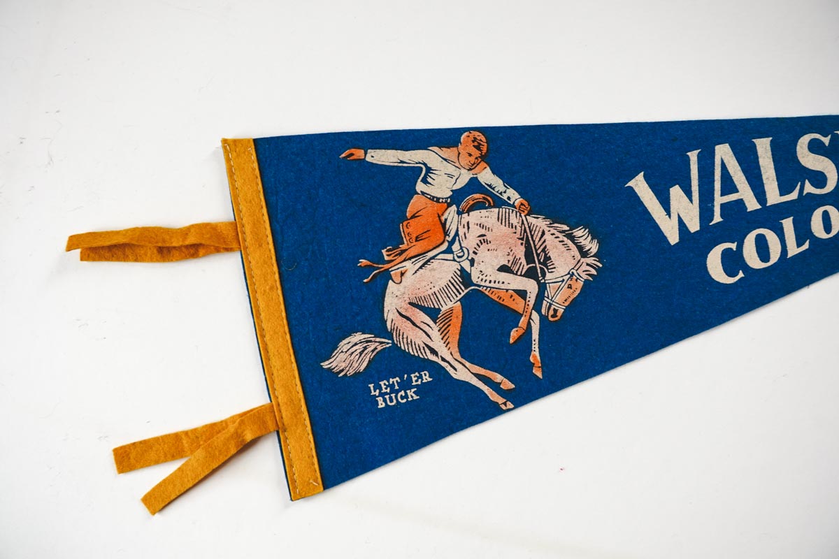 Vintage 50s Walsenburg, Colorado Cowboy Bronco Blue Souvenir Felt Pennant 27in