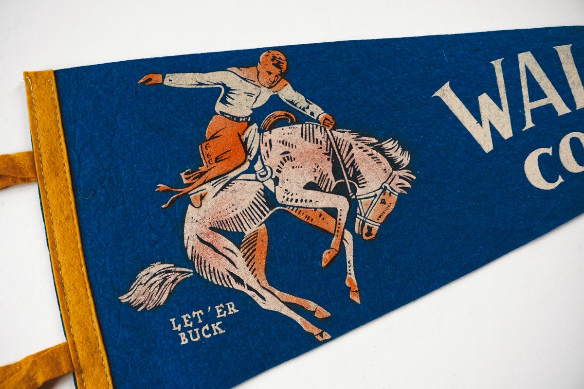 Vintage 50s Walsenburg, Colorado Cowboy Bronco Blue Souvenir Felt Pennant 27in