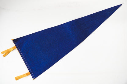 Vintage 50s Garden of the Gods Colorado Blue Souvenir Felt Pennant 27in