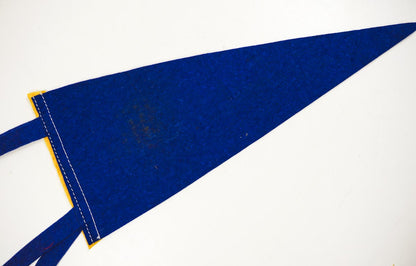 Vtg 1950s Souvenir of Rochester, Minnesota Small Blue Felt Pennant "The Clinic" 11in