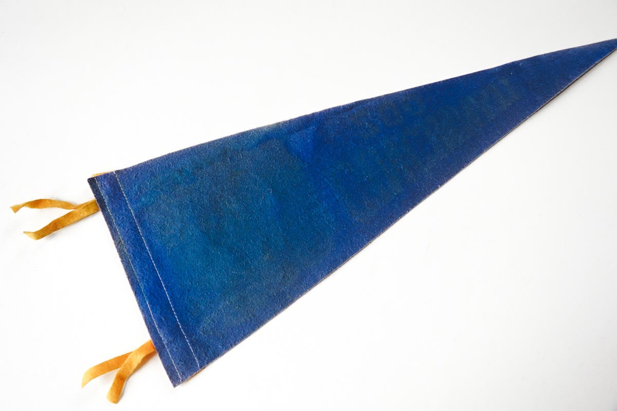 1950's Cincinnati Zoo, Ohio Blue Felt State Pennant Elephant Graphic 17in