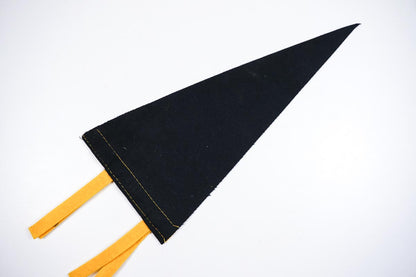 Vintage 1950's Black Felt Kentucky Cardinal State Small Souvenir Pennant