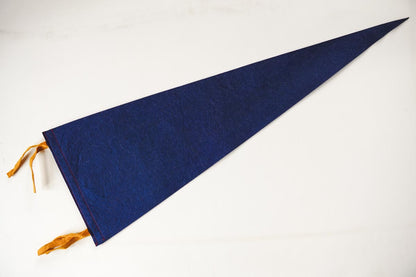 Vintage 50s Grand Canyon Arizona Blue Souvenir Felt Pennant 25in