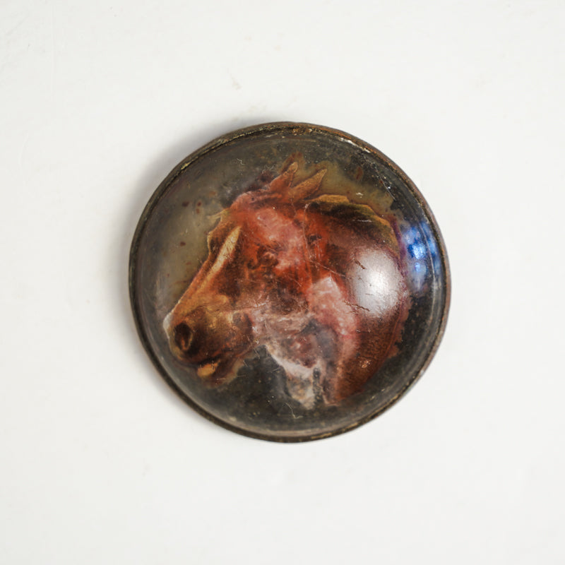 Antique Glass Bridle Rosette Chestnut Horse Copper Backing Missing Bracket