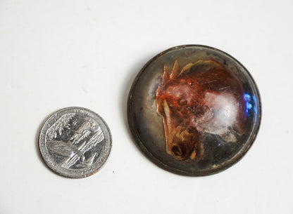 Antique Glass Bridle Rosette Chestnut Horse Copper Backing Missing Bracket