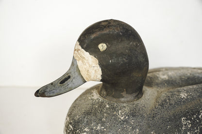Vintage Blue Bill Duck Decoy Plastic Head Foam Body Rubber Handle Hunting Decoy