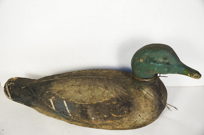 Vintage Victor Veri-Lite Duck Hunting Decoy Animal Trap Co LItitz PA Glass Eye