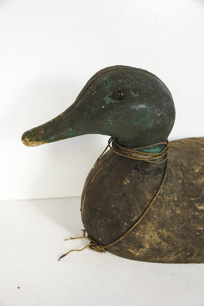 Vintage Victor Veri-Lite Duck Hunting Decoy Animal Trap Co LItitz PA Glass Eye