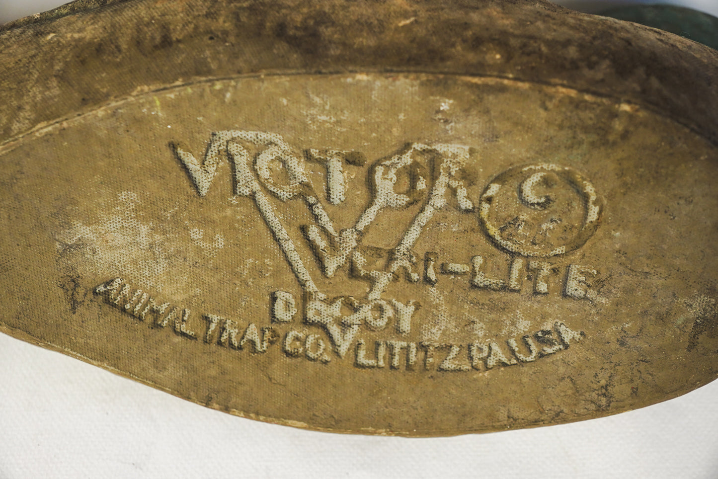 Vintage Victor Veri-Lite Duck Hunting Decoy Animal Trap Co LItitz PA Glass Eye