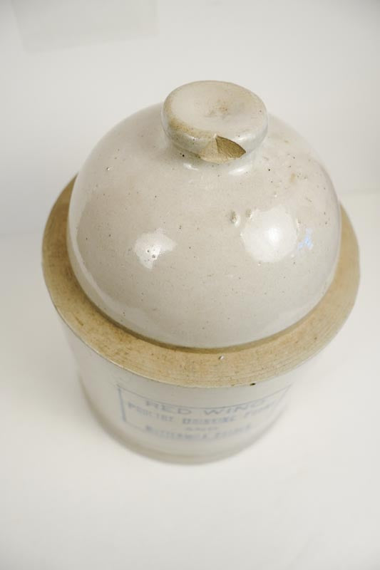 Red Wing Poultry Drinking Fount and Buttermilk Stoneware Feeder 10in
