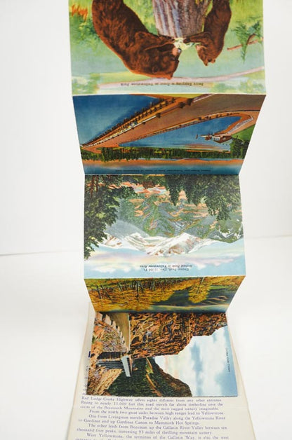 Yellowstone National Park Postcard Collection Souvenir Photos Folded Set