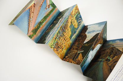 Yellowstone National Park Postcard Collection Souvenir Photos Folded Set