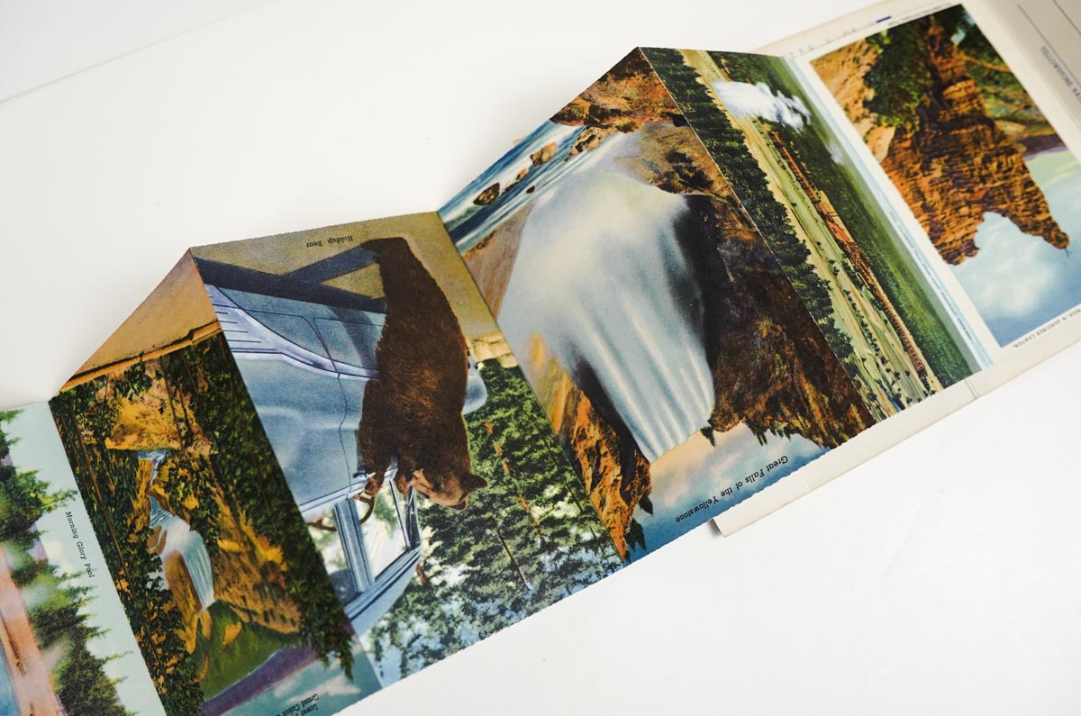Yellowstone National Park Postcard Collection Souvenir Photos Folded Set