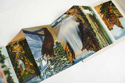 Yellowstone National Park Postcard Collection Souvenir Photos Folded Set