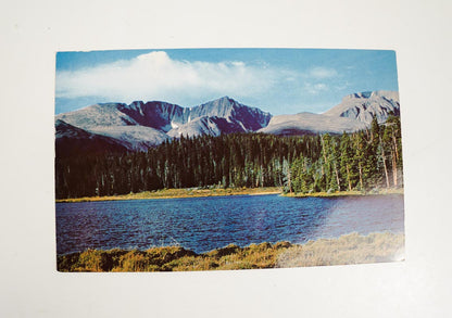 Yellowstone National Park Giant Post Cards Unused Set of 6 Different Cards